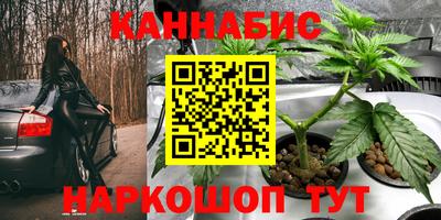 винт Бийск