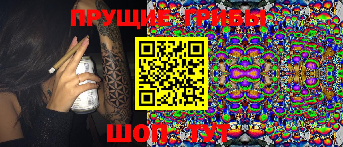 Псилоцибиновые грибы Cubensis Баксан