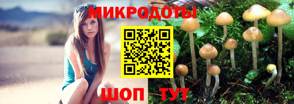 Галлюциногенные грибы MAGIC MUSHROOMS  Вход с VPN  Баксан 