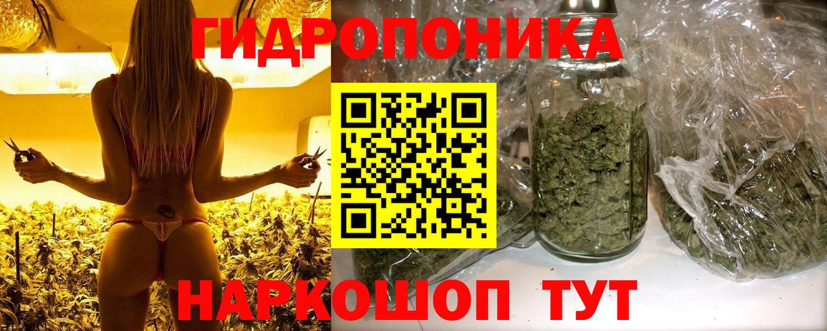 Конопля MAZAR Баксан