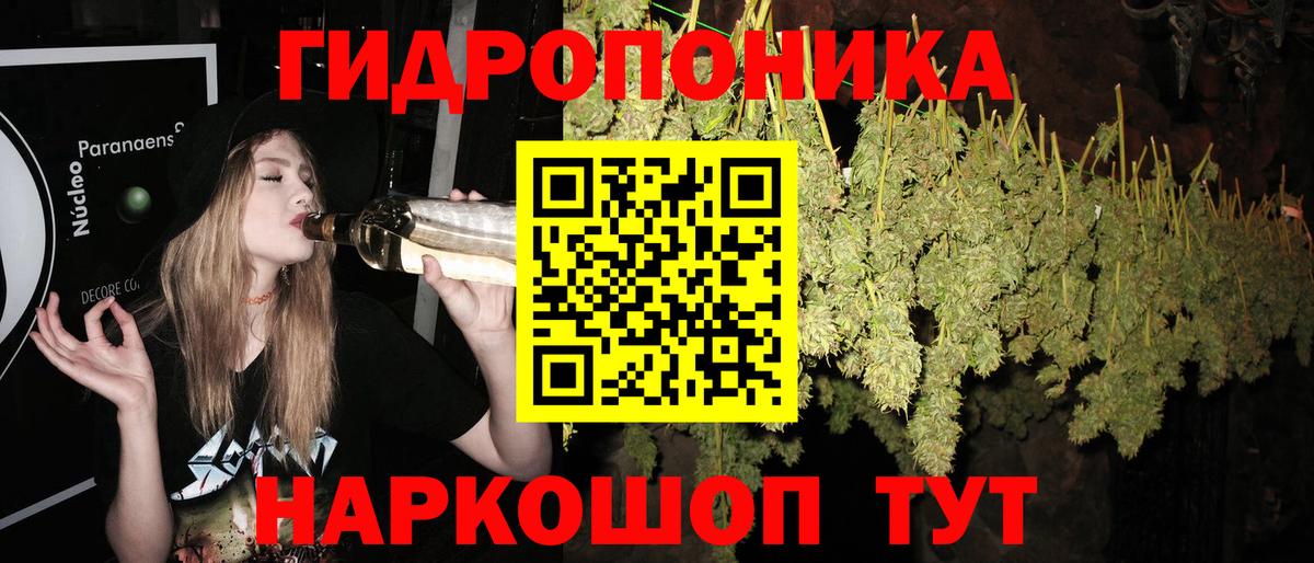 Бошки марихуана индика  МАРИХУАНА ГИДРОПОН  Марихуана план  Баксан  Каннабис Bruce Banner  Вход с VPN 